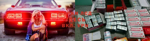 прущие грибы Белоозёрский