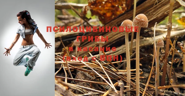 прущие грибы Белоозёрский