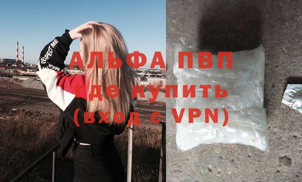 прущие грибы Белоозёрский