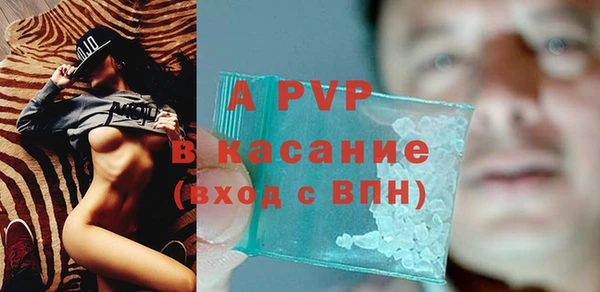 прущие грибы Белоозёрский